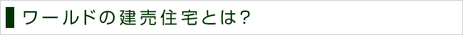 ワールドの建売住宅とは？